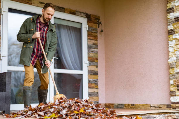 Best Dumpster Rental Services  in East Sparta, OH